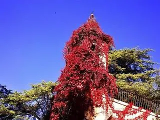 Castello Di Montalbano Oda ve Kahvaltı 3*